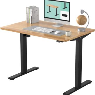 FLEXISPOT 電動式スタンディングデスク