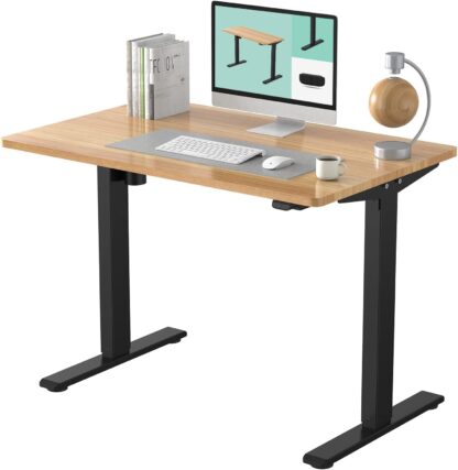 FLEXISPOT 電動式スタンディングデスク